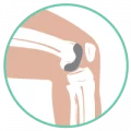 icone-cartilagem
